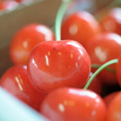 紅秀峰（秀品）の商品画像