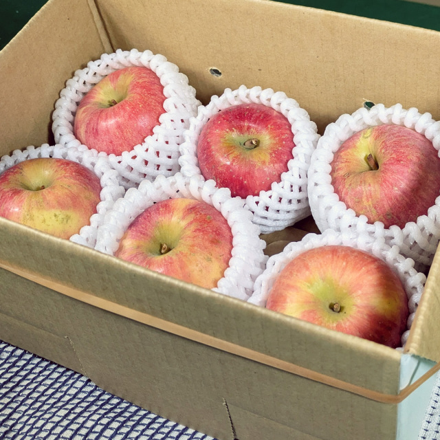 高徳（小密りんご）＜1kg＞ 4玉～6玉入