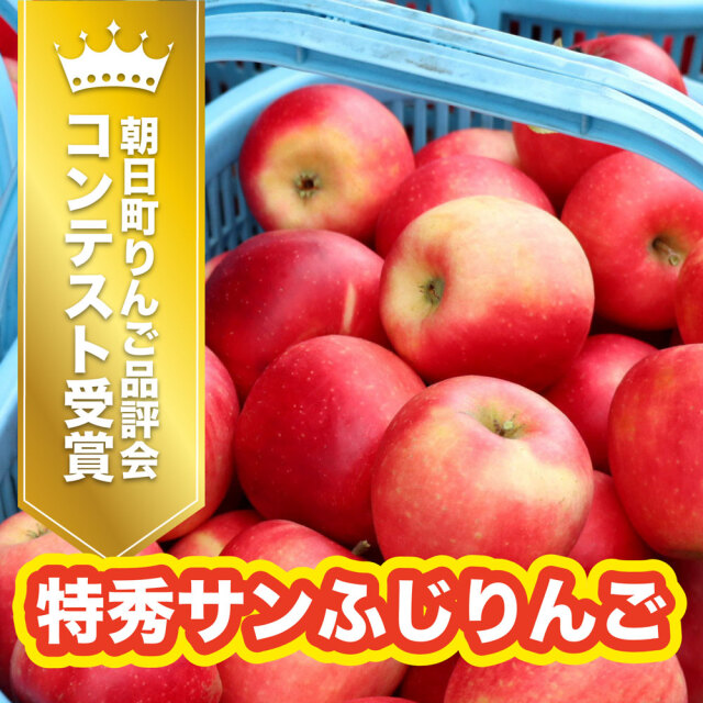 りんご 堀農園の朝日町サンふじりんご約5kg(16-18玉)