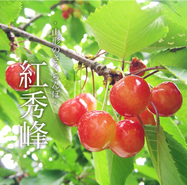 訳あり紅秀峰 自家用・訳あり】紅秀峰 700g～800g（Lサイズ以上・サイズ混合）