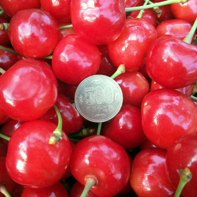 50箱限定】［特秀品］紅秀峰 1kg（2L～3Lサイズ）