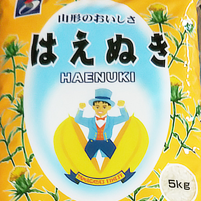新米　はえぬき 山形県が全国に誇る銘柄米。「はえぬき」5kg【令和7年産新米】