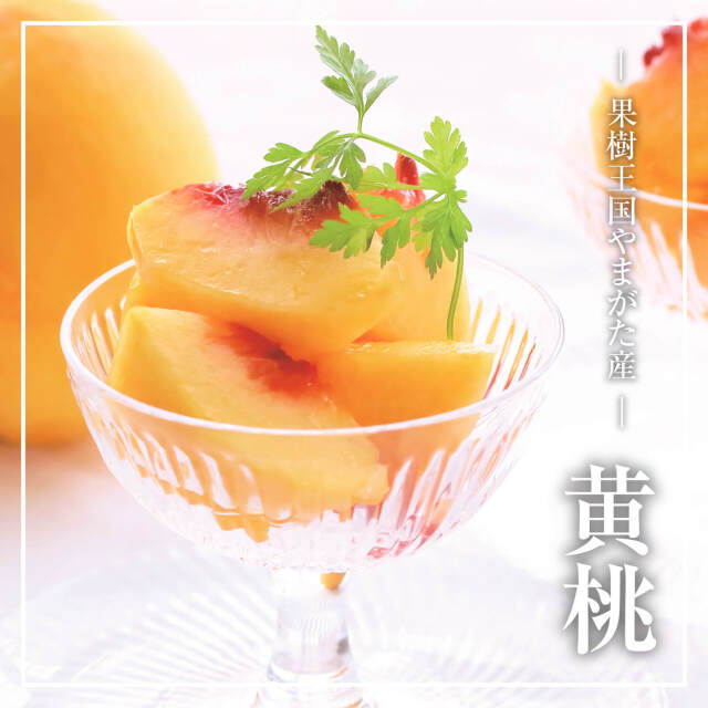 山形産「黄桃」＜2kg＞6玉～9玉（9月上旬から10月中旬発送）