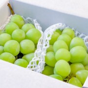 シャインマスカットの商品画像