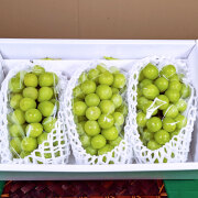 シャインマスカット 特大3房