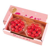 温室さくらんぼのサムネイル