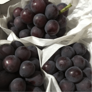 山形産「ピオーネ」550g～700g(1房)