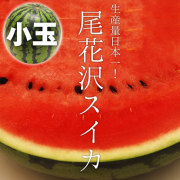 尾花沢スイカ