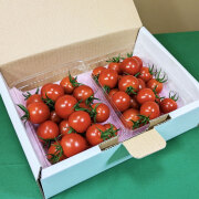 【訳あり】完熟トマト 700g［お届け時期：春：5月下旬～7月上旬、秋：10月上旬～12月上旬頃］ 糖度8度超え！百貨店で大行列の人気高糖度トマト（山形）