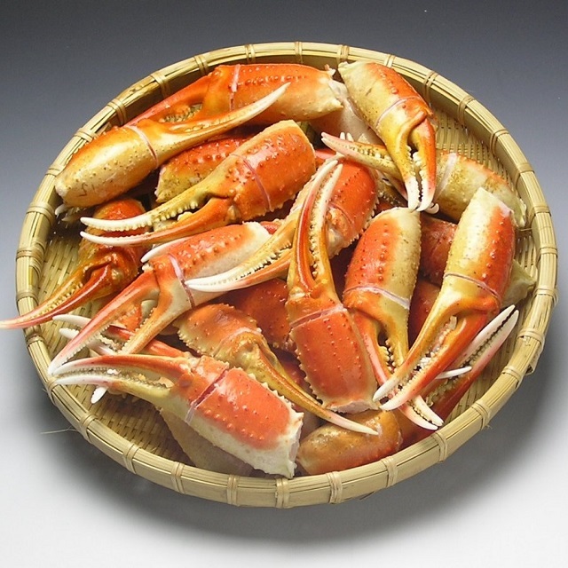 ズワイカニ爪 総重量1kg(かに 蟹) 関門倶楽部 ズワイカニ爪 総重量1kg(かに 蟹) 関門倶楽部