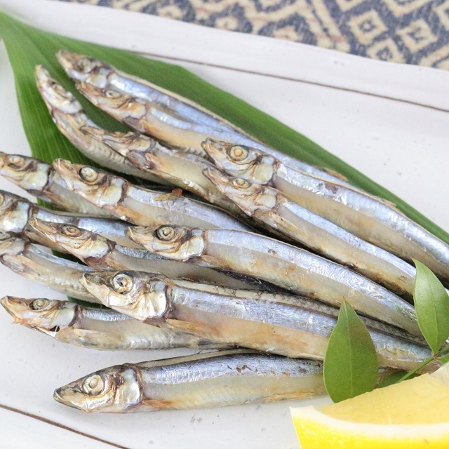 R503 きびなご一夜干し8尾×6串【国産】