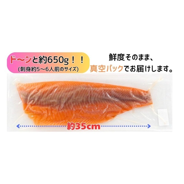 K471 お刺身サーモン(トリムE)約650g(5～6人前) 関門倶楽部