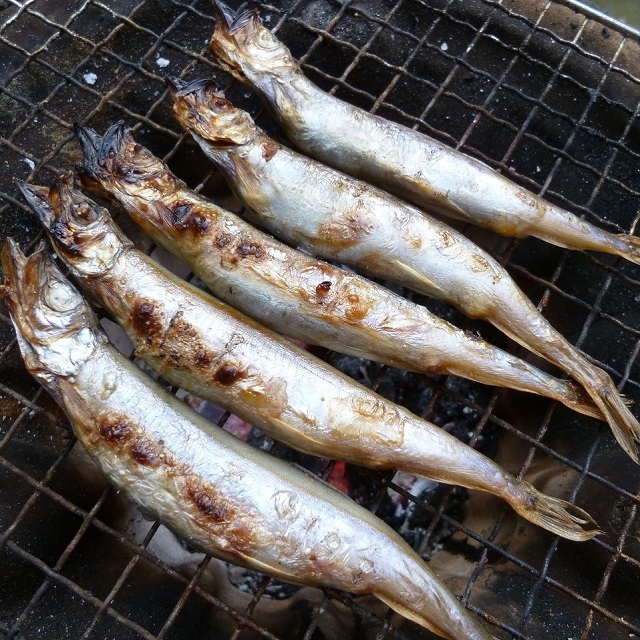 子持ちししゃもさん専用　2p 子持ちからふとししゃも GOLD 1パック7尾入り (約100g) ×20入り
