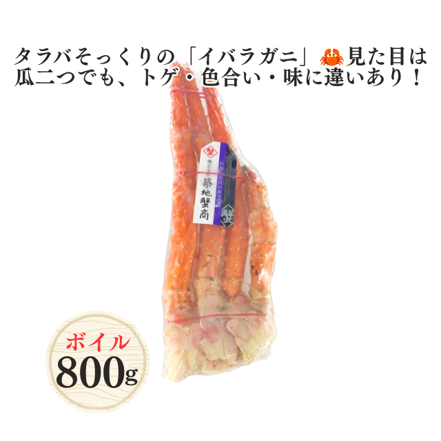 ≪435≫ ボイルイバラガニ(ゴールデンキングクラブ)脚(肩)800g