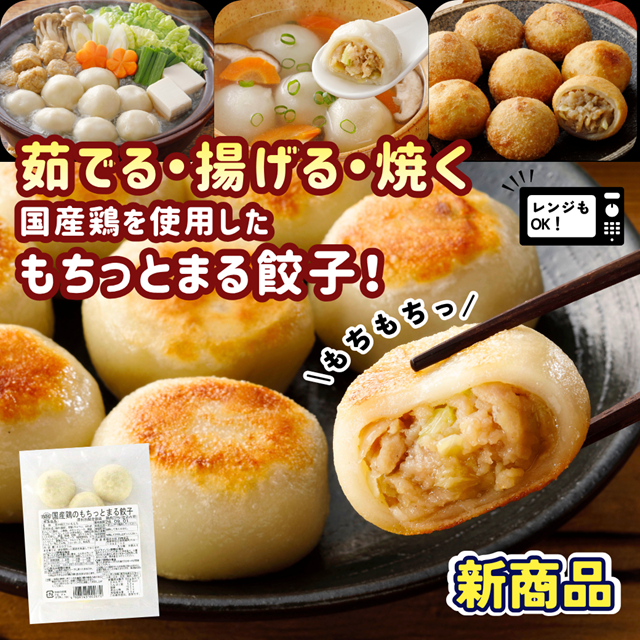 鶏のもちっとまる餃子200g(8個)【国産】