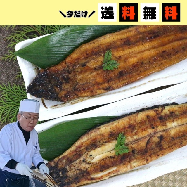 【今だけホームページからのご注文に限り“送料無料”※北海道・沖縄は除く】<江口商店>【国産】 うなぎ