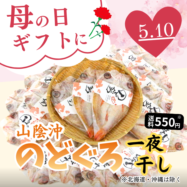 ★【送料550円(税込)※北海道・沖縄除く】のどぐろ(アカムツ)一夜干し【山陰沖】