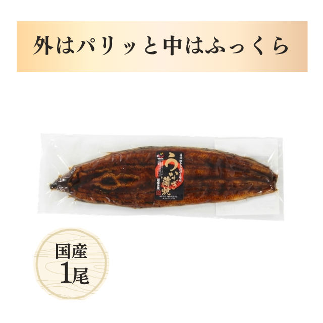 ≪225≫ 薩摩川内鰻 うなぎ蒲焼