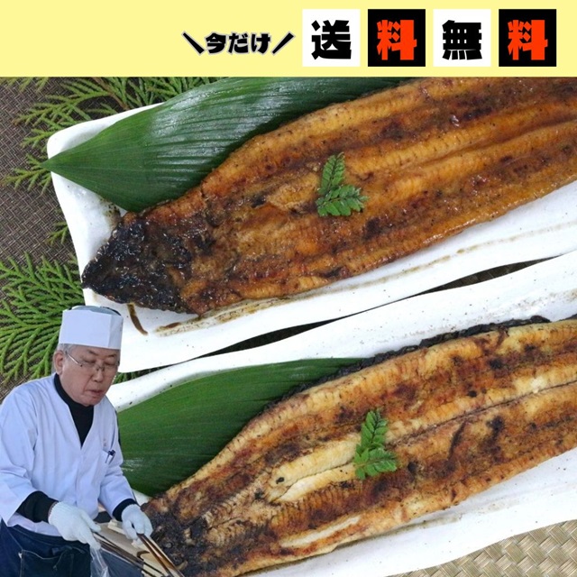 【今だけホームページからのご注文に限り“送料無料”※北海道・沖縄は除く】<江口商店>【国産】 うなぎ