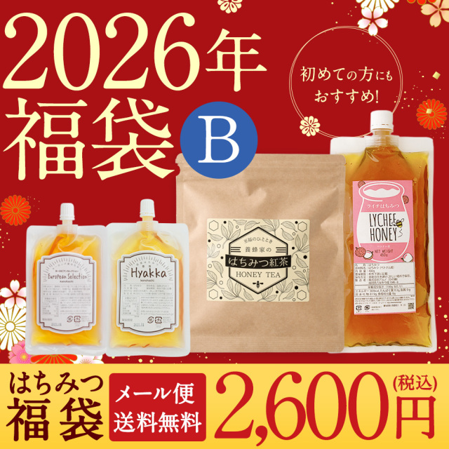 【2026年新春福袋】2026年福袋B ※メール便発送