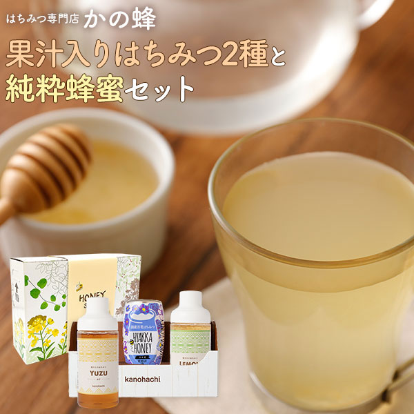 【蜂蜜ギフト】果汁入りはちみつ2種と純粋蜂蜜セット 500g×各1本