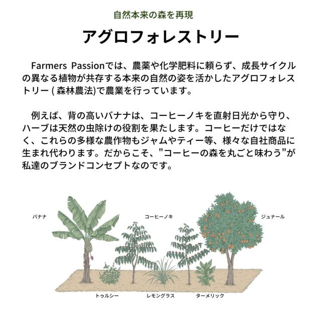 オーガニック コーヒー フェアトレード ナチュラル × ライト 1kg