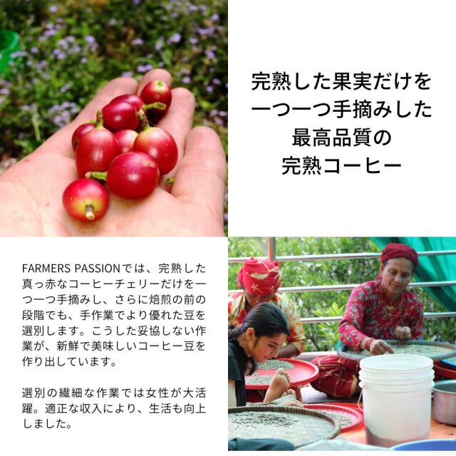 専用 オーガニック コーヒー 4250g 中挽き ネパール 高級 専用 オーガニック コーヒー 4250g 中挽き ネパール 高級