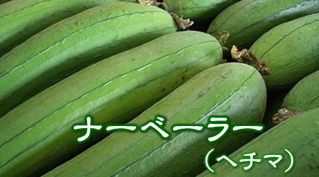 沖縄産　ヘチマ（ナーベーラー）