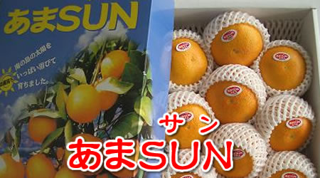 沖縄産　あまＳＵＮ（あまさん）