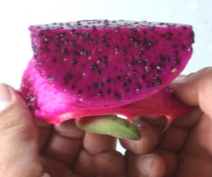 ドラゴンフルーツ赤