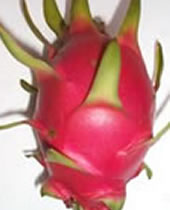 ドラゴンフルーツ白