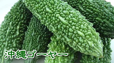沖縄産　ゴーヤー