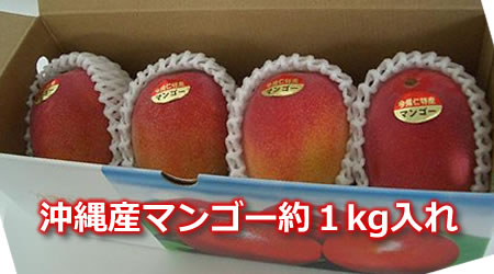 沖縄マンゴー約１ｋｇ入れ