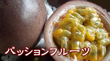 沖縄産　パッションフルーツ