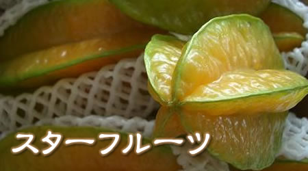 沖縄産　スターフルーツ