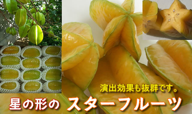 沖縄　スターフルーツ