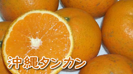 沖縄産　タンカン