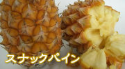 沖縄産　スナックパイン