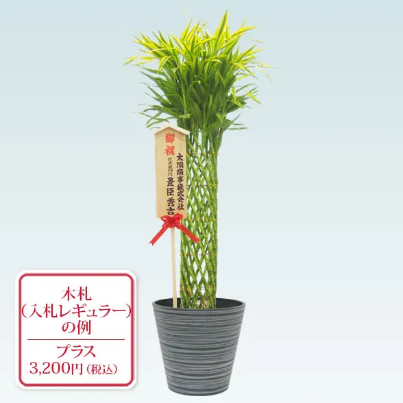 ミリオンバンブーご確認用 確認用 ミリオンバンブー水栽培