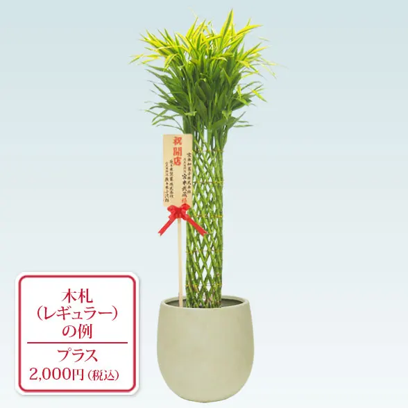 ミリオンバンブー(バルーン型、グラスファイバー製鉢カバー付)　9