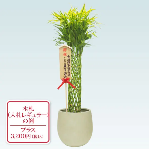 ミリオンバンブー(バルーン型、グラスファイバー製鉢カバー付)　10