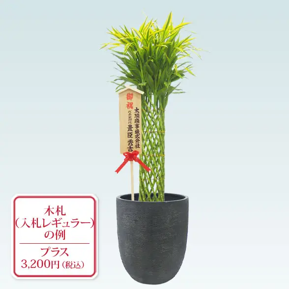 ミリオンバンブー(エッグポット型、グラスファイバー製鉢カバー付)　Lサイズ　入札付き