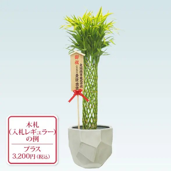 ミリオンバンブー(多面体型、グラスファイバー製鉢カバー付)　Lサイズ　入札付き