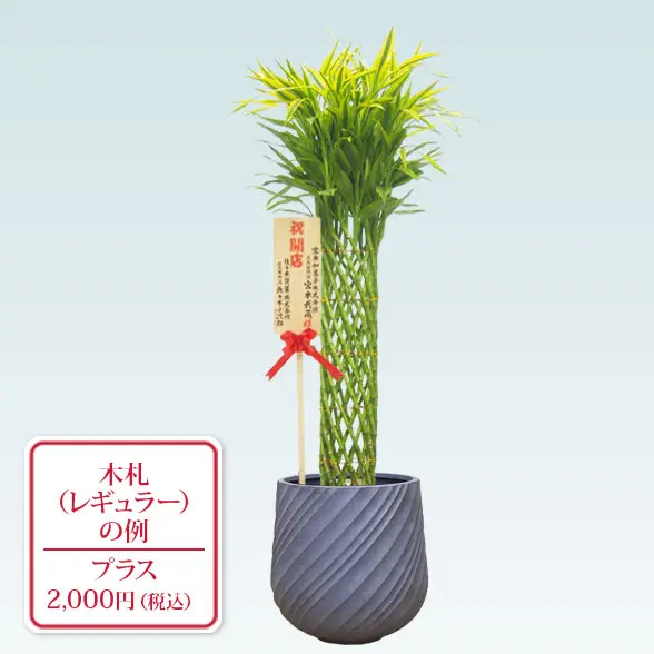 ミリオンバンブー(スパイラル型、グラスファイバー製鉢カバー付)　Lサイズ　グレー　レギュラー札付き