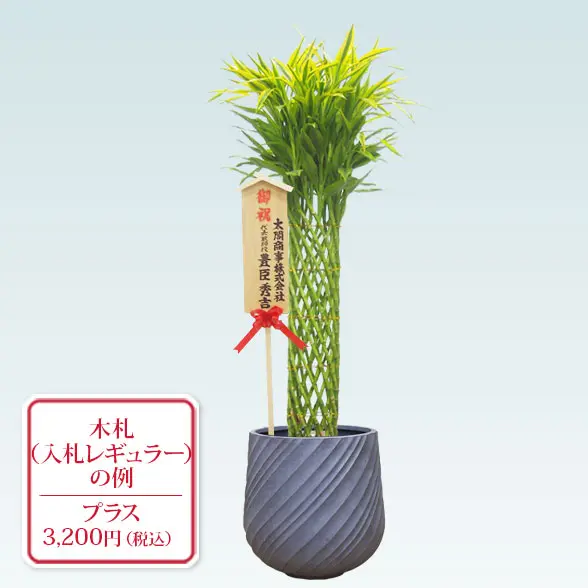 ミリオンバンブー(スパイラル型、グラスファイバー製鉢カバー付)　Lサイズ　グレー　入札付き