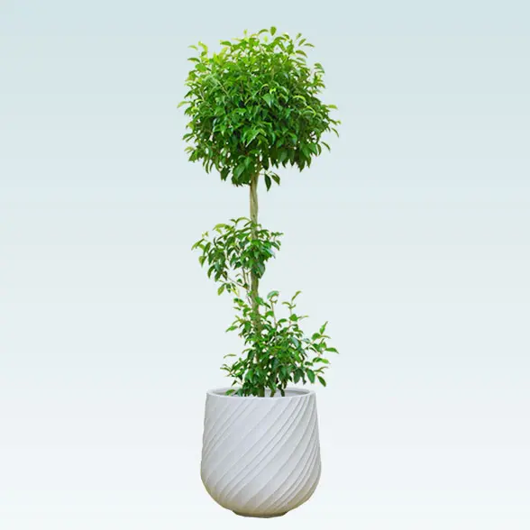 グレー螺旋模様 大型植木鉢.鉢カバー