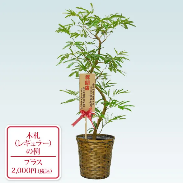 エバーフレッシュ(籐かご付、ダークブラウン色)　Ｍサイズ７