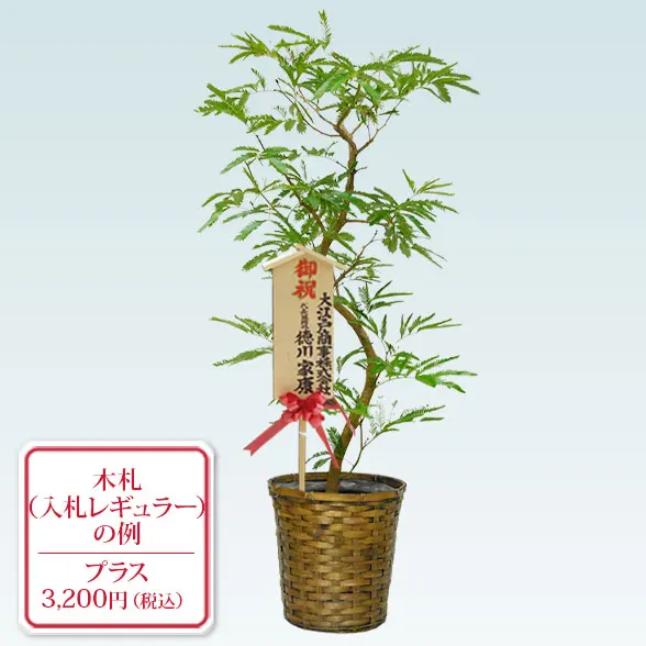 エバーフレッシュ(籐かご付、ダークブラウン色)　Ｍサイズ８