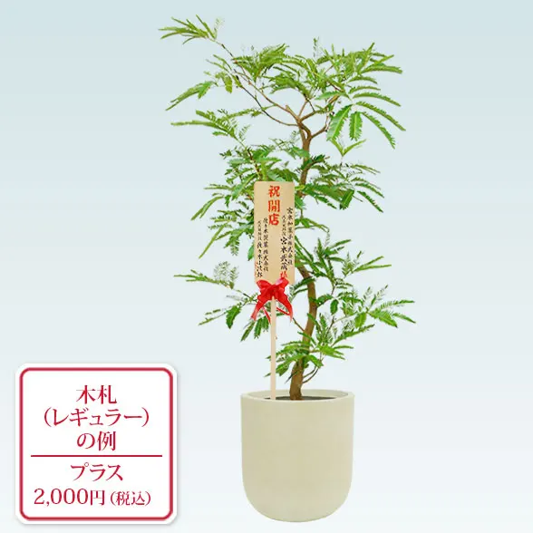 エバーフレッシュ(U字ポット型、グラスファイバー製鉢カバー付)　Ｍサイズ7