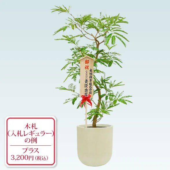 エバーフレッシュ(U字ポット型、グラスファイバー製鉢カバー付)　Ｍサイズ8